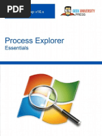 Process Explorer Essentials - Antun Peicevic