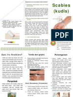 Leaflet Klinik Kulit Dan Kelamin Leaflet Scabises