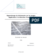 Apprentissage de Dictionnaire Sur Les Images - Application À La Détection D'anomalies