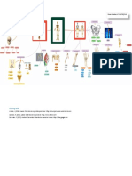 ESQUEMA ANATOMIA TAREA 4(modificada).pdf