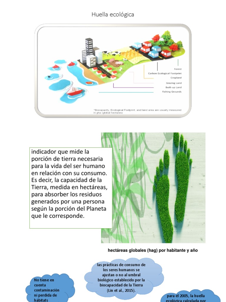 Huella Ecológica, Hidrica y de Carbono | PDF | Entorno natural ...