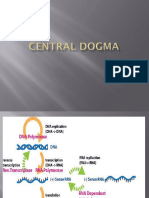 CENTRAL DOGMA.pptx