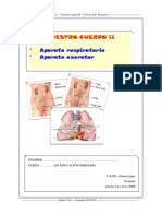 Cuerpo Humano Ii PDF