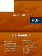 Anatomi Gigi