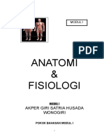 Anatomi & Fisiologi: Akper Giri Satria Husada Wonogiri