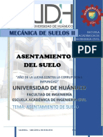 ASENTAMIENTOS FINAL.pdf