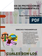 Mecanismos protección derechos fundamentales