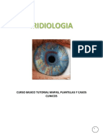 Iridologia-curso-básico.pdf