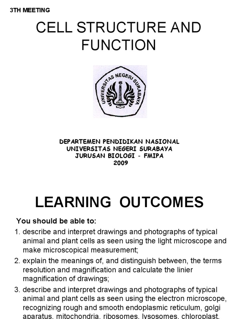 Cell Structure & Function Guide | PDF | Cell (Biology) | Endoplasmic ...