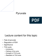 4 Pyruvate and TCA-RO-PDF