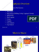 Petrophysics Overview RMB