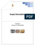 P-SCD-01 Scope Description V2 08032013