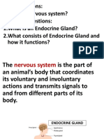 Review Lessons: What is a nervous system and endocrine glands? (39