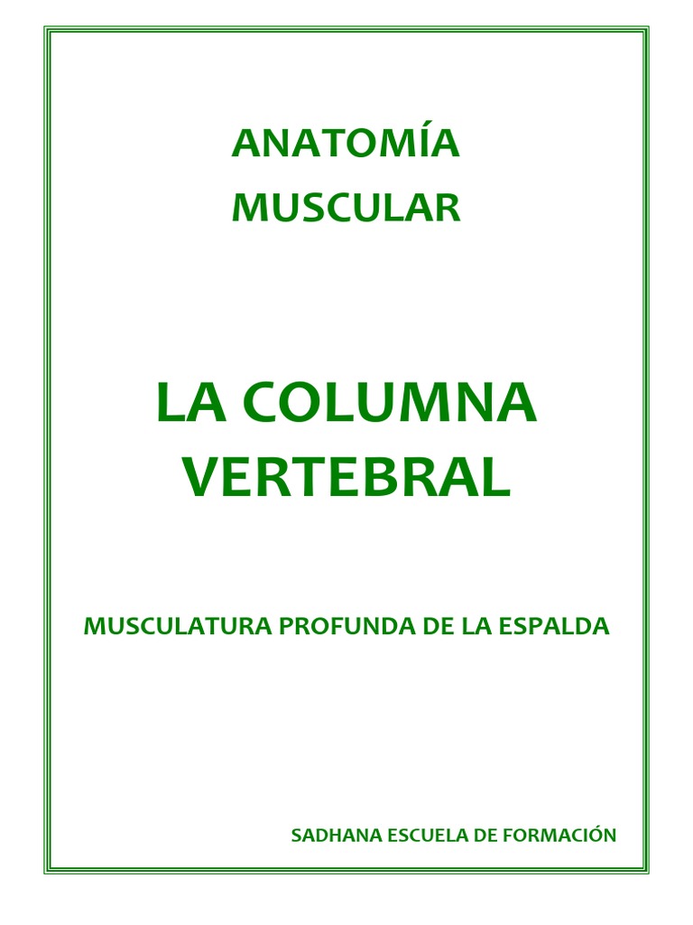 Anatomía y Funciones de la Columna Vertebral | PDF | La columna ...
