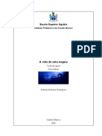 enguia.pdf