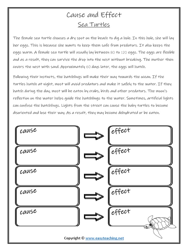 cause and effect essay worksheet