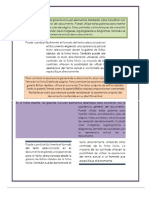 PRACTICA FORMATO 4.docx