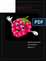 Raspberry Pie: NAME-Nisarg Brahmbhatt PRN-17070122015 Branch-Cs 1