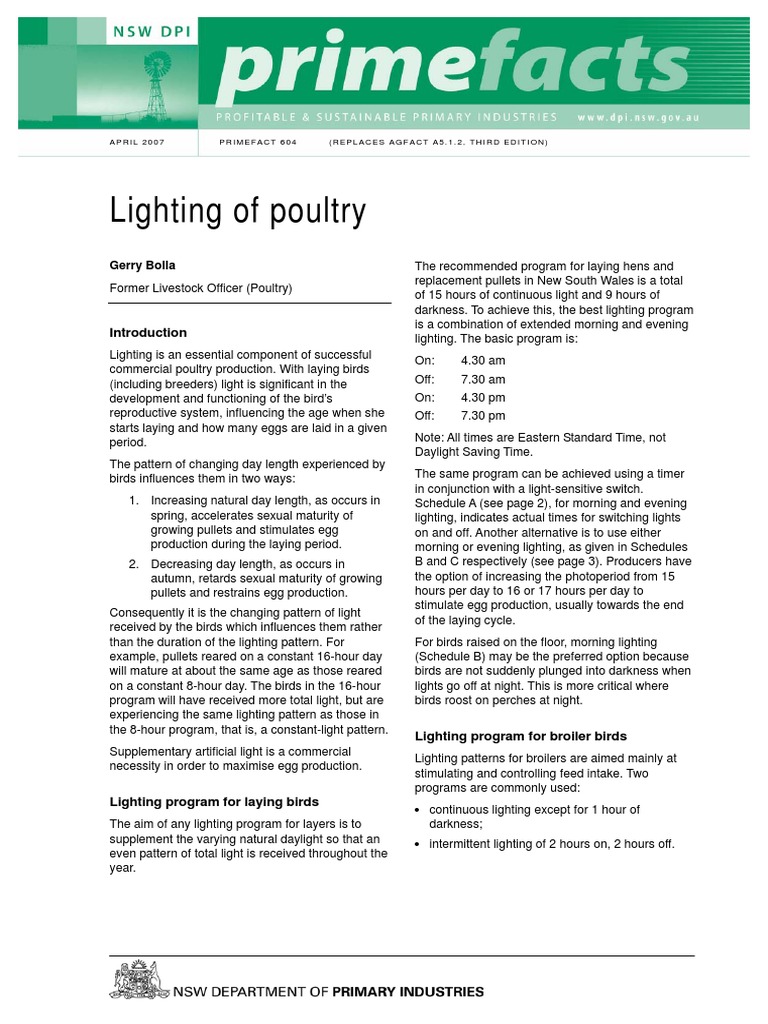 Lighting of Poultry | PDF | Chicken | Fluorescent Lamp