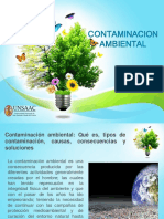 Contaminacion Ambiental 2 PDF