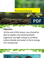 Lesson 5.2 Photosynthesis