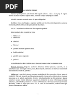 Anatomia Organelor Genitale Feminine MG | PDF