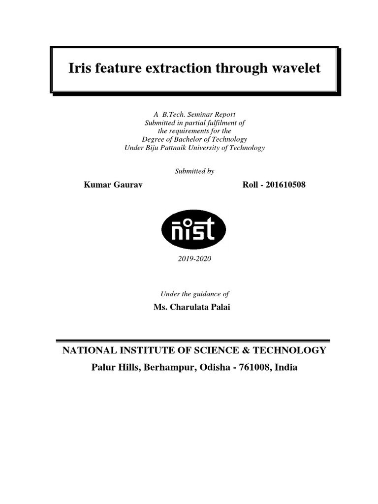 Iris Feature Extraction | PDF | Image Segmentation | Biometrics
