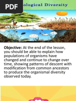 Lesson 9.2 Biological Diversity