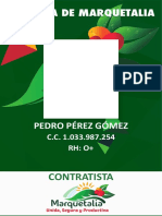 DISEÑO CARNET