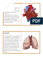 Infotexte Organe