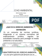 Diapositiva Derecho Ambiental
