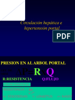 Circulación Hepática e Hipertensión Portal