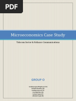 Microeconomics Case Study: Group O