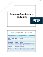 Microbiologie Curs 2