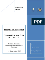 Informe Expediente Tropical Larvas