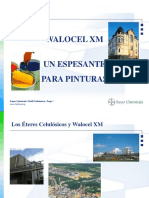 Un espesante ideal para pinturas de dispersión: Walocel XM