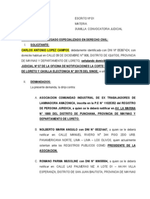 Demanda Judicial - Convocatoria Judicial A Asamblea - Lasa - Civil | PDF |  Exclusión social | Información del gobierno