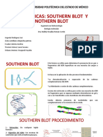 SOUTHERN BLOT Y NOTHERN BLOT.pptx