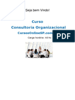 curso_consultoria_organizacional__07001.pdf