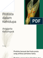 Bio Protista Jadi