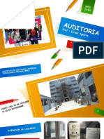 Auditoria de Cepea PDF