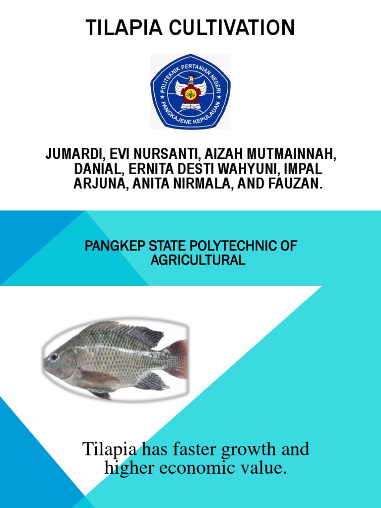 Tilapia Cultivation Pdf