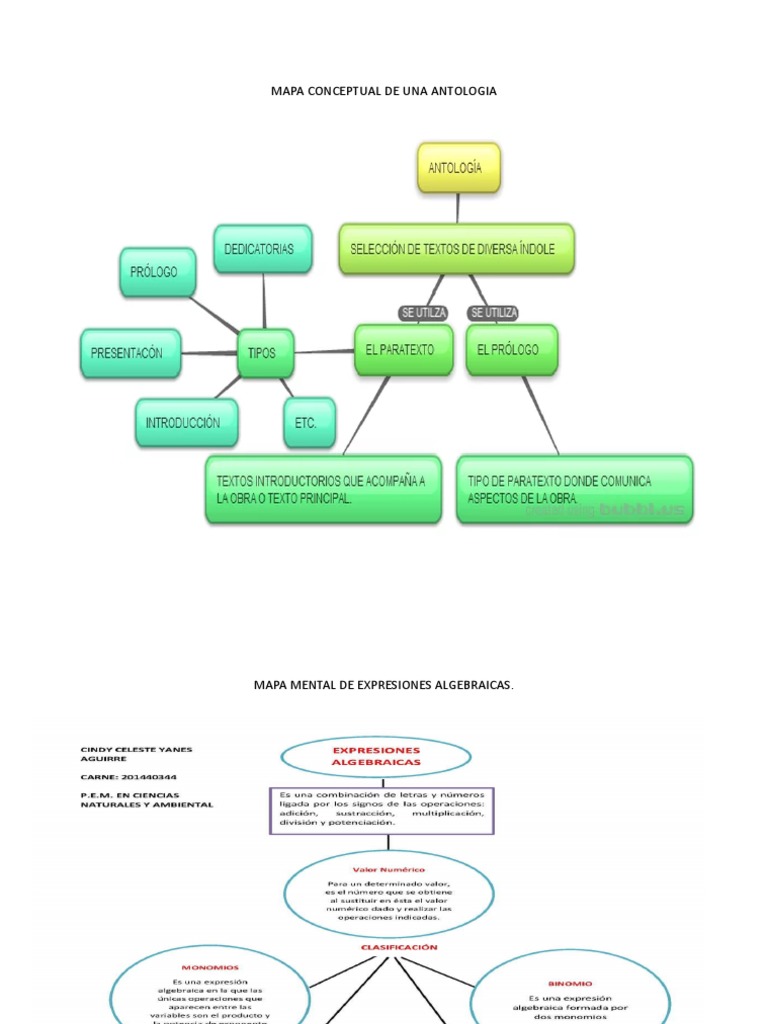 Mapa Conceptual De Una Antologia