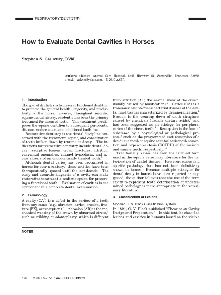 How To Evaluate Dental Cavities in Horses: Stephen S. Galloway, DVM ...
