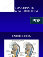 Urografia EE