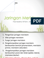 BIOFAR TA 2019-2020 P3 Jaringan Meristem