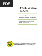 Download Psychological Process Consumer Behavior by verviana SN43410662 doc pdf