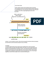 DNA RNA