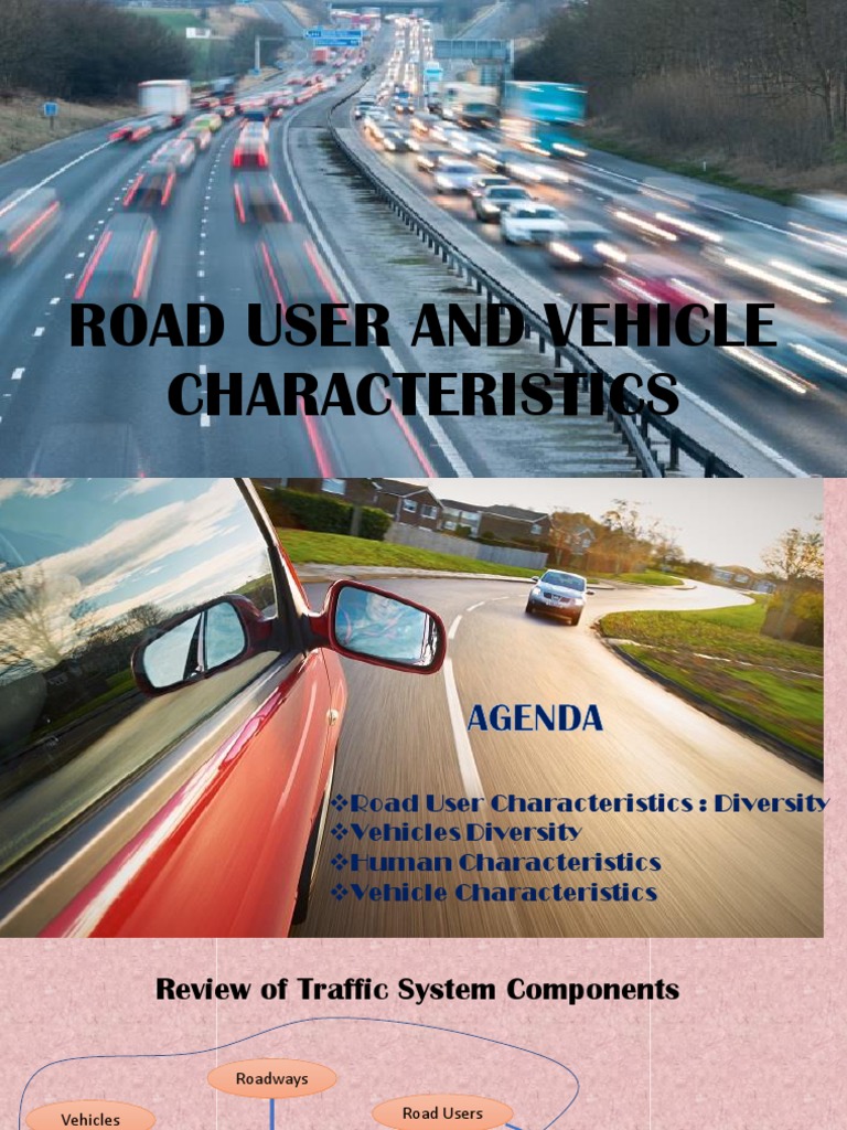 Road User And Vehicle Characteristics Visual Acuity Visual Perception