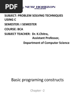 Basic Programing Constructs PDF